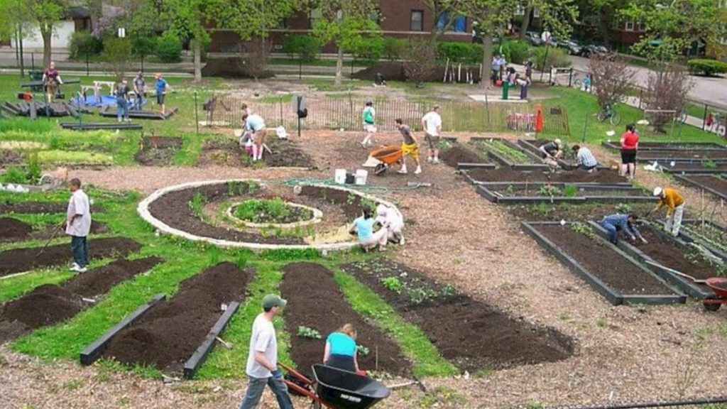 Community Garden