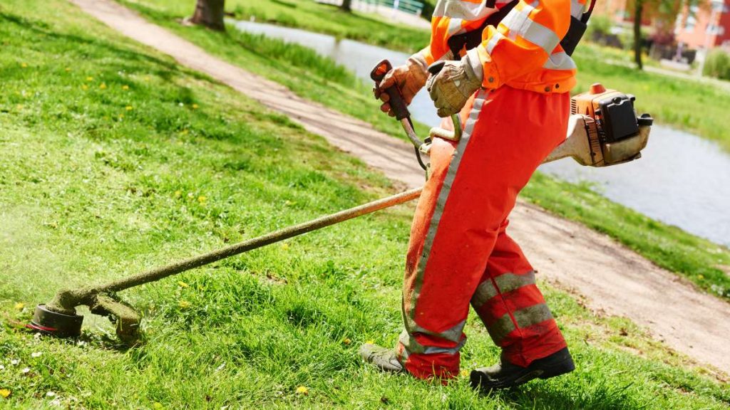 Garden Maintenance