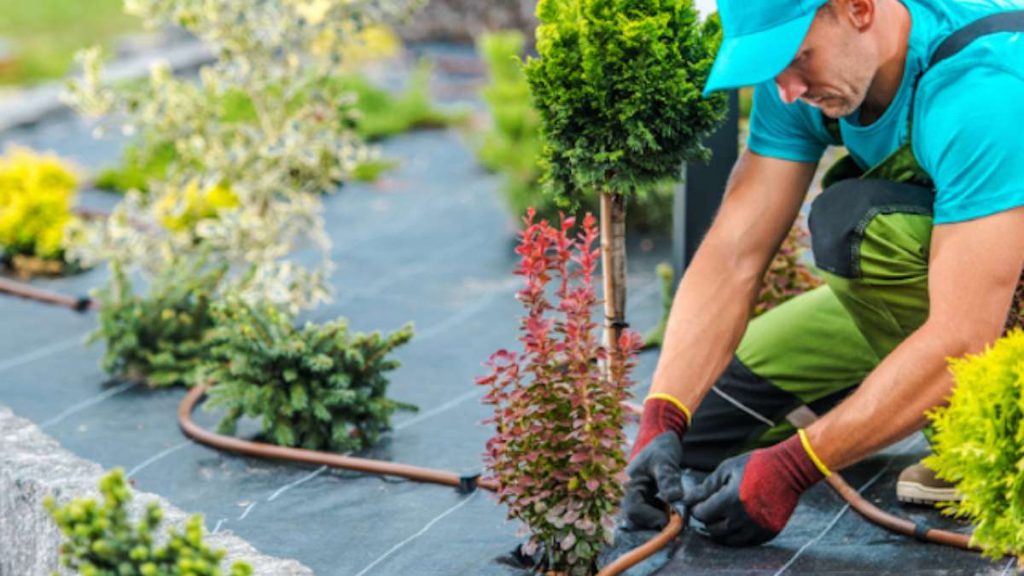 Gardening Insurance 