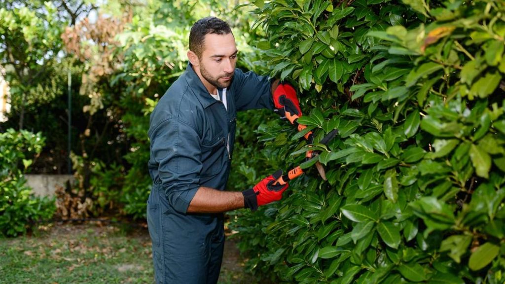 Gardening Insurance 