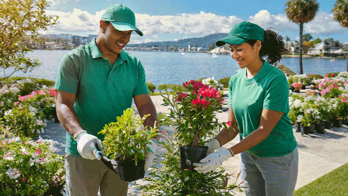 Top Gardening and Landscaping Companies In The U.S.: Who’s Leading The Industry?