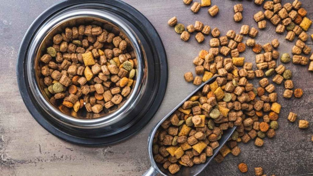 Pets Best Dog Food