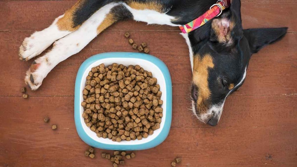 Pets Best Dog Food