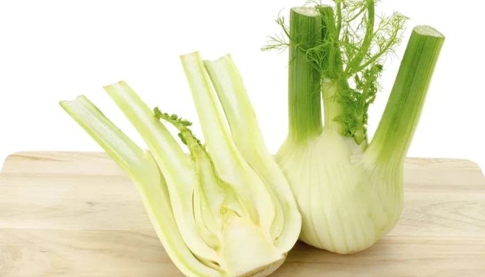 Fennel